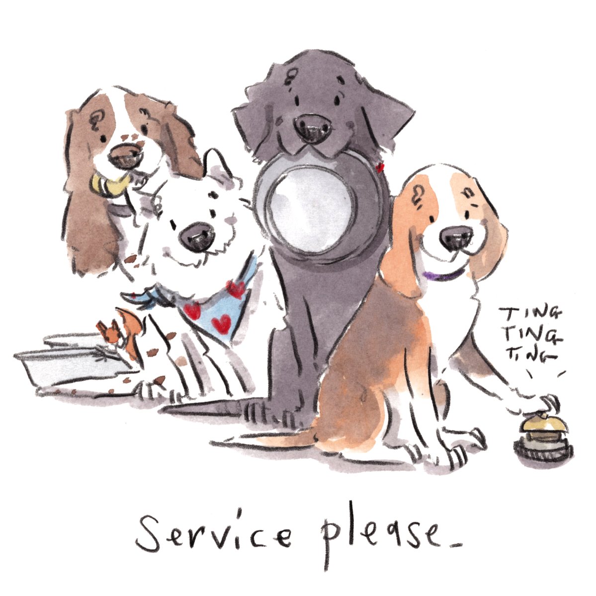 iaindwelch's tweet photo. Good night, lovely people and lovely dogs.
The team are feeling a little peckish...
Sleep well and sweet dreams.
I hope that you have a really fab day tomorrow.
#hoorayfordogs #springer #westie #labrador #beagle #redsquirrel #serviceplease https://t.co/SwLK4CL9e4