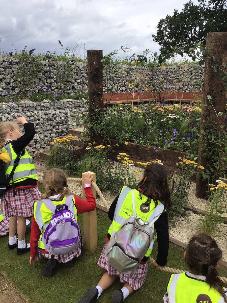 PipersForestSch's tweet image. Beautiful gardens, music and bees #RHShamptoncourt @PipersPrep #pipersinspire