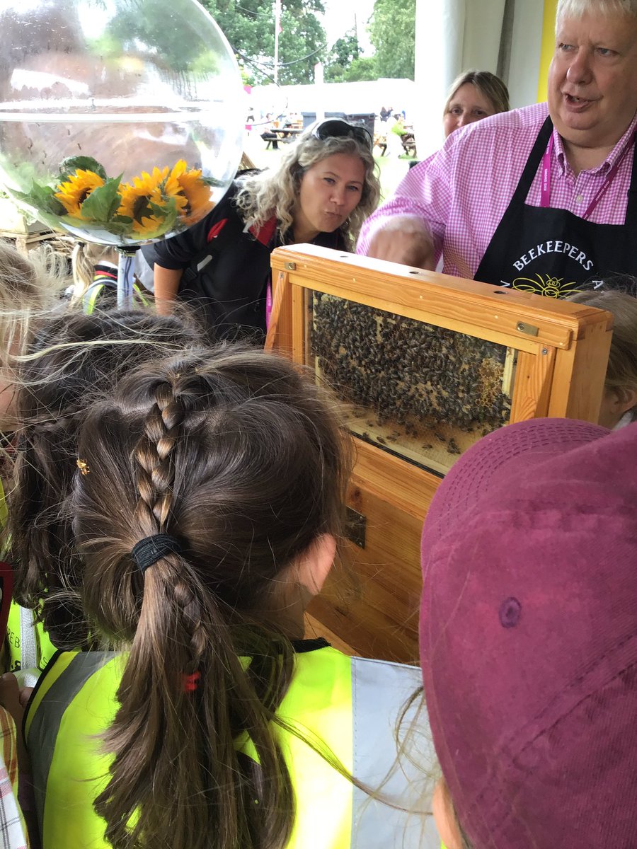 PipersForestSch's tweet image. Beautiful gardens, music and bees #RHShamptoncourt @PipersPrep #pipersinspire