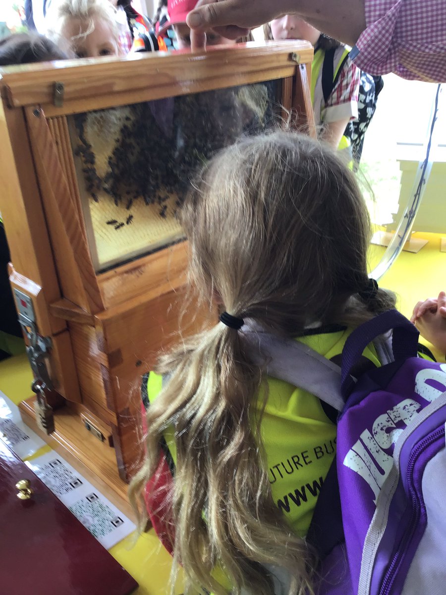 PipersForestSch's tweet image. Beautiful gardens, music and bees #RHShamptoncourt @PipersPrep #pipersinspire