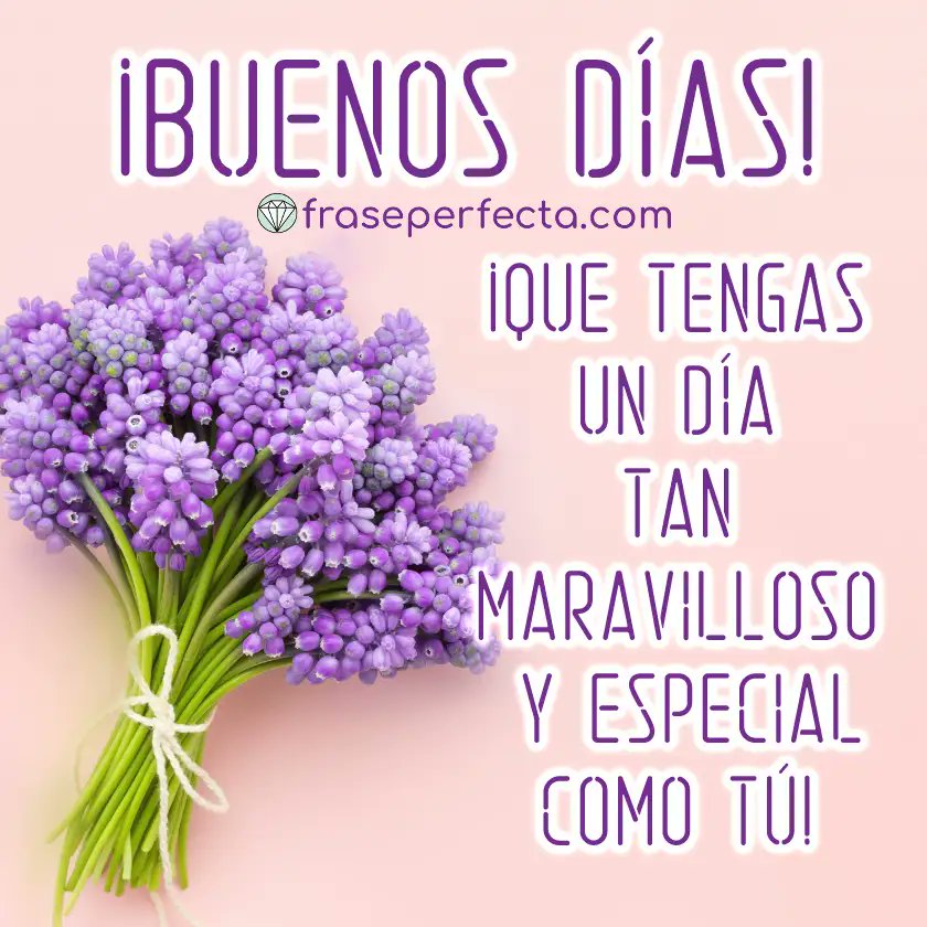 hermenegilda (@hermene84) on Twitter photo 