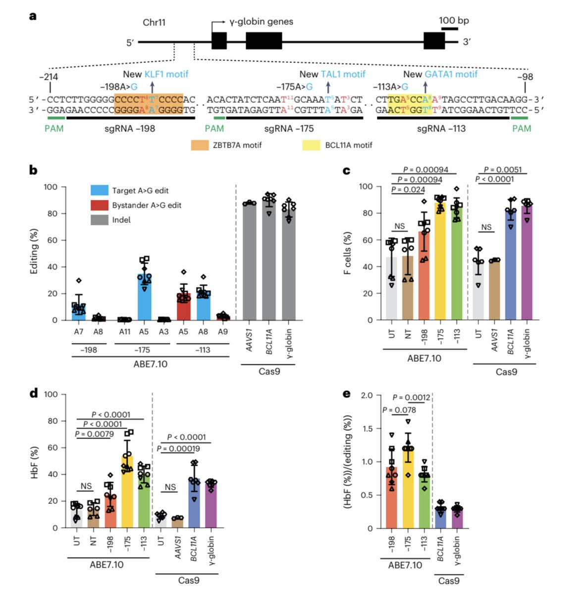We treated HSPCs with ABEs programmed to install 1 of 3 naturally occurring mutations that restores fetal hemoglobin expression from its silenced state following the HBG-to-HBB switch. Each base edit creates binding sites for KLF1, TAL1, or GATA1 transcriptional activators. 2/10