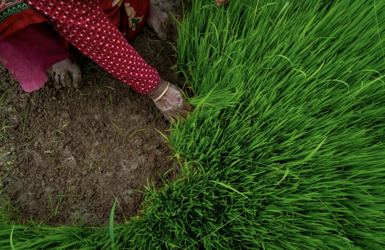 Al Jazeera English on Twitter: 