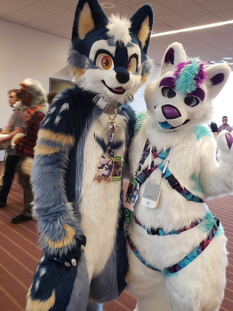SoloCupKitty's tweet photo. Some pics I got with other suiters at #anthrocon! https://t.co/KFMdSsdxgX