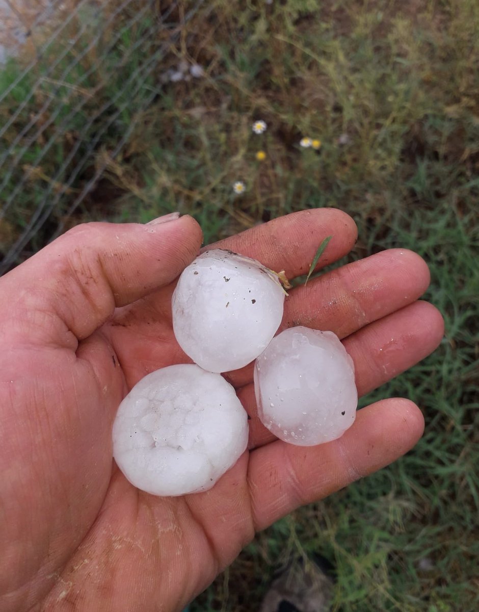 AlpuenteA's tweet photo. 🌧️⛈️🌧️
32,2 litros ha registrado la estación de @avamet en #Alpuente y aquí una muestra del #granizo que ha caído...
🏓🧊
@AEMET_CValencia @apuntoratge 
Para hacer seguimiento de la tormenta y parámetros en tiempo real podéis consultar el enlace 👇👇
https://t.co/21VteicXtq https://t.co/JnPhmumDPw
