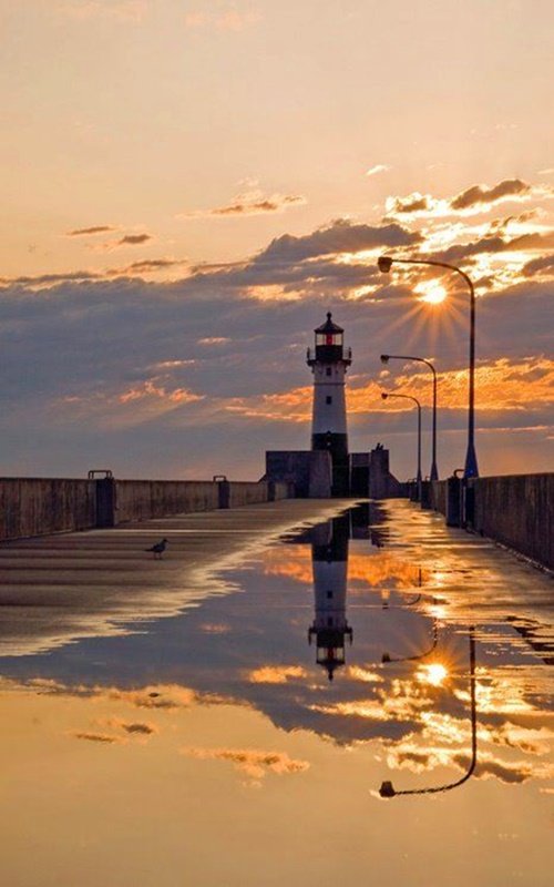 °ʚ✿ɞ.Hαρρу ԃαყ🍃🍀🍃