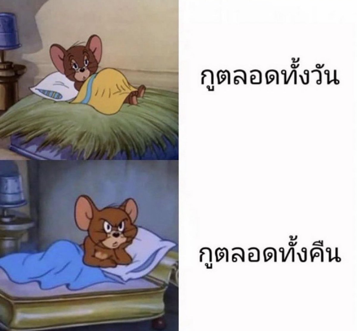 ช่างแม่ง🐰🏳️🌈 tweet media