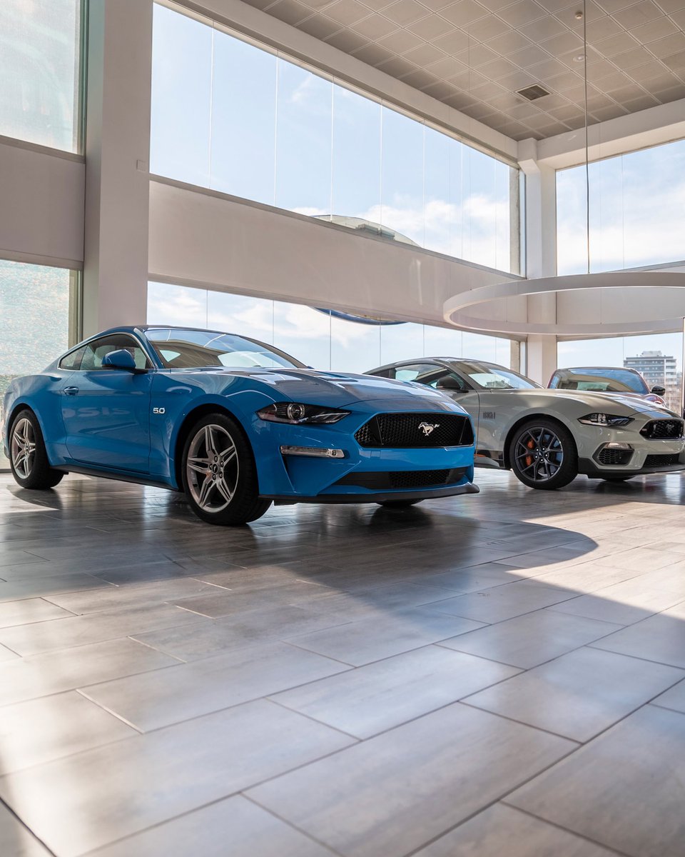 fordcovesa's tweet photo. Nuestras exposiciones siempre tienen un lugar especial para él… 🐎￼#FordMustang
 
#ford #fordcovesa #fordperformance https://t.co/j4tKwOujrF