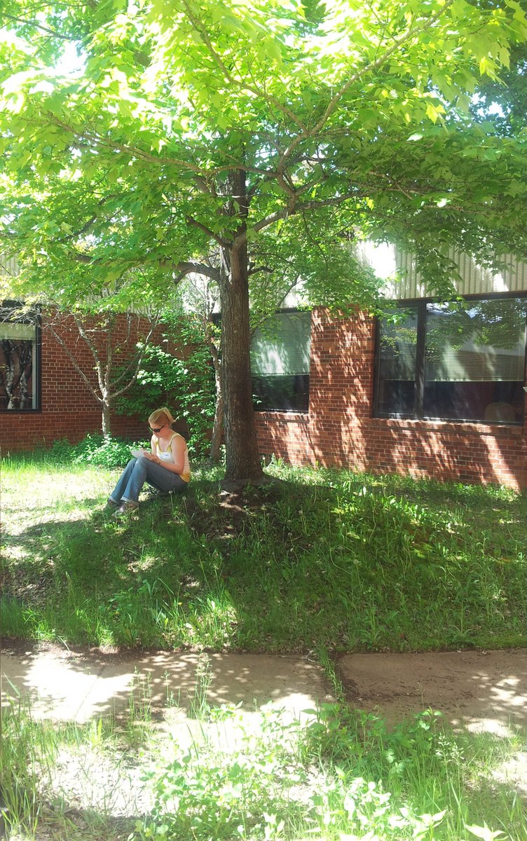 mnforestry's tweet photo. DYK that trees are like natural air conditioners? The shade from trees can reduce temperatures by several degrees, creating a cool oasis on hot summer days. Take a break under a leafy canopy and feel the refreshing difference! https://t.co/I1XGLpCs5B