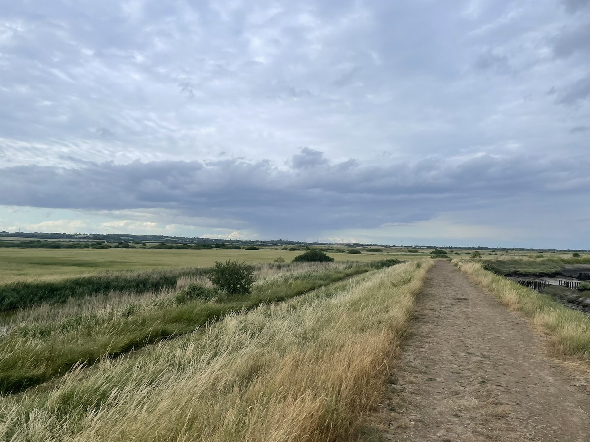 pinkbookyogi's tweet image. I’ve decided enough is enough, I can’t keep going on feeling low and moaning about my weight. The gym is good but it’s not the same as being outside, so on the days I’m not running I’m focusing on walks! Starting tonight, no more excuses! #timetogetfit #walking #audiobooks