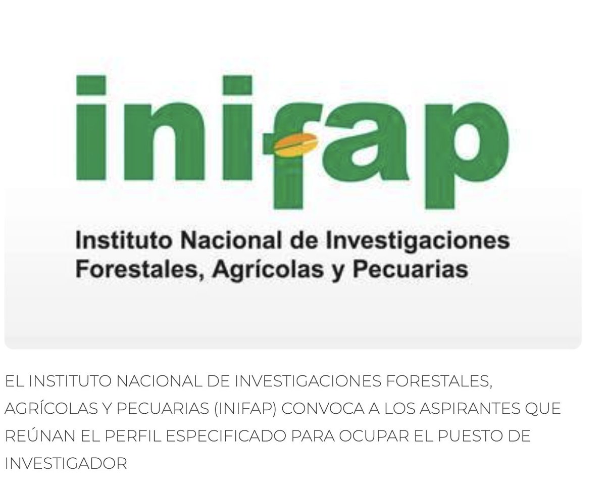 inifap's tweet photo. ¿Te interesa realizar investigación a favor del #CampoDeMéxico?🧑‍🔬👩‍🔬

👀Conoce las Convocatorias 2023 para ser parte de la familia #INIFAP. Los Centros de Investigación requieren especialistas en zootecnia, frutales y ecología, entre otros.
👇👇
https://t.co/Ccq4528OR4 https://t.co/mqqY30UxzY