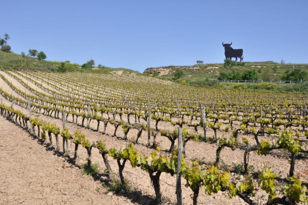 Toya_dlaGuardia's tweet photo. @BlogdeToya https://t.co/J2Gs7kBLYk
#fullspain #toroosborne #bodegaosborne #CarreterasdeEspaña https://t.co/GCudaEpDf6