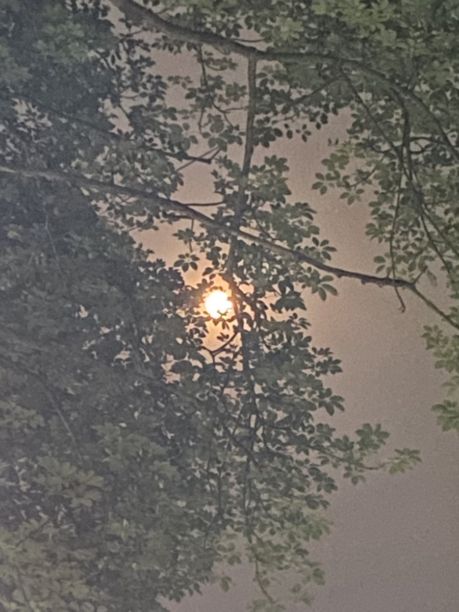 lightseekerusha's tweet photo. I told the stars about you !
#GuruPurnima #BuckMoon #SuperMooon #FullMoon https://t.co/BDYi70lWil