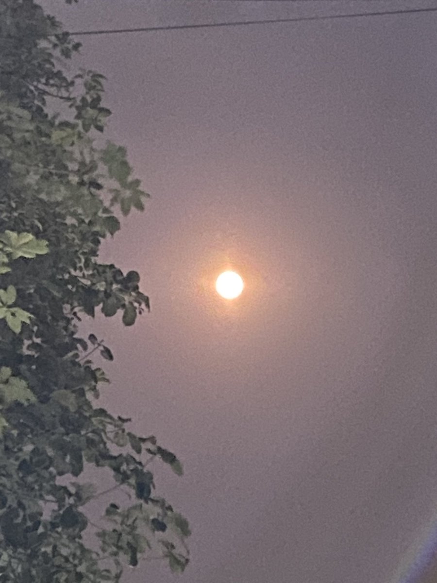 lightseekerusha's tweet photo. I told the stars about you !
#GuruPurnima #BuckMoon #SuperMooon #FullMoon https://t.co/BDYi70lWil