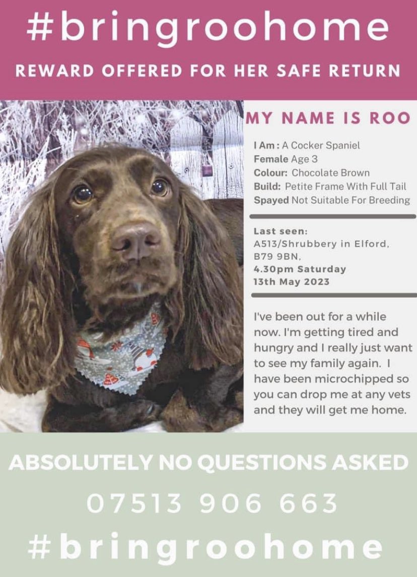 🐾❤️🐾 ROO MAKES IT INTO THE LOCAL PAPER 🐾❤️🐾 This is great to see. She’s now been gone 7 weeks. Thanks so much for your continued support, please keep Roo red hot !!! ☎️07513 906663 #bringroohome @bbcmtd please can you help? @MissingPetsGB @rosieDoc2