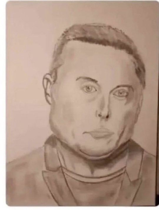 Not Elon Musk tweet media