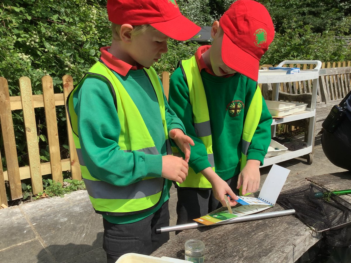 STJBFindon's tweet photo. ARUNDEL WETLANDS - The children in Willow Class had a great day out, learning all about the creatures that live on or near fresh water. A huge THANK YOU to the PTA for paying for the coaches to Arundel. https://t.co/T05XrT48Z5