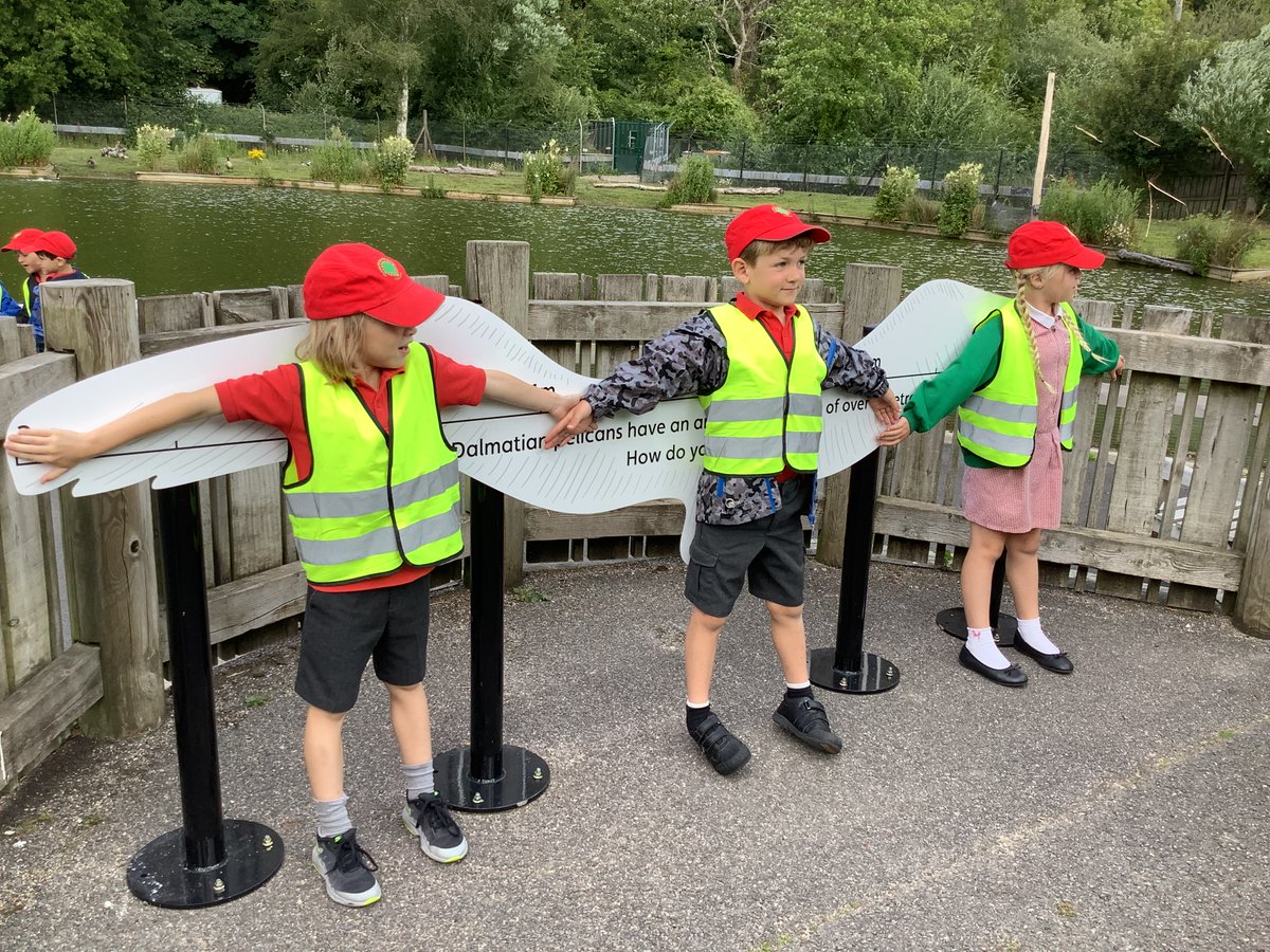 STJBFindon's tweet photo. ARUNDEL WETLANDS - The children in Willow Class had a great day out, learning all about the creatures that live on or near fresh water. A huge THANK YOU to the PTA for paying for the coaches to Arundel. https://t.co/T05XrT48Z5