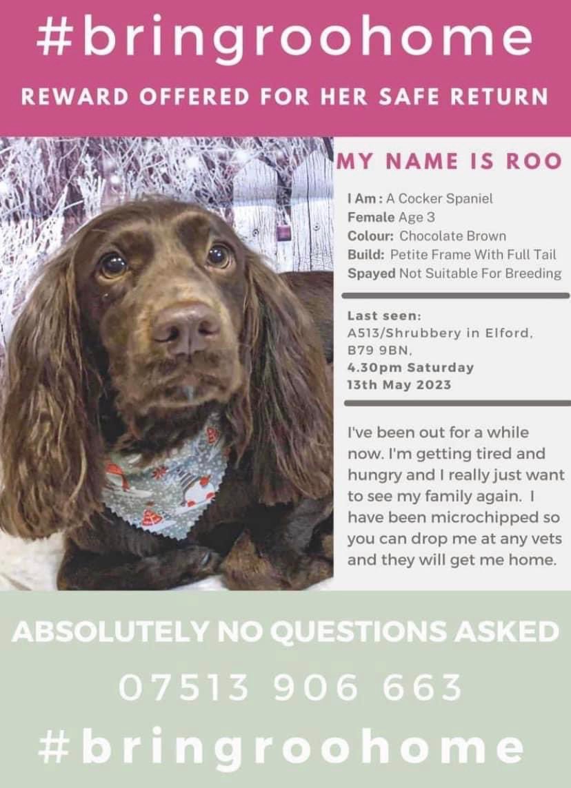 🐾❤️🐾 ROO MAKES IT INTO THE LOCAL PAPER 🐾❤️🐾 This is great to see. She’s now been gone 7 weeks. Thanks so much for your continued support, please keep Roo red hot !!! ☎️07513 906663 #bringroohome @thismorning please can you help? @MissingPetsGB @rosieDoc2