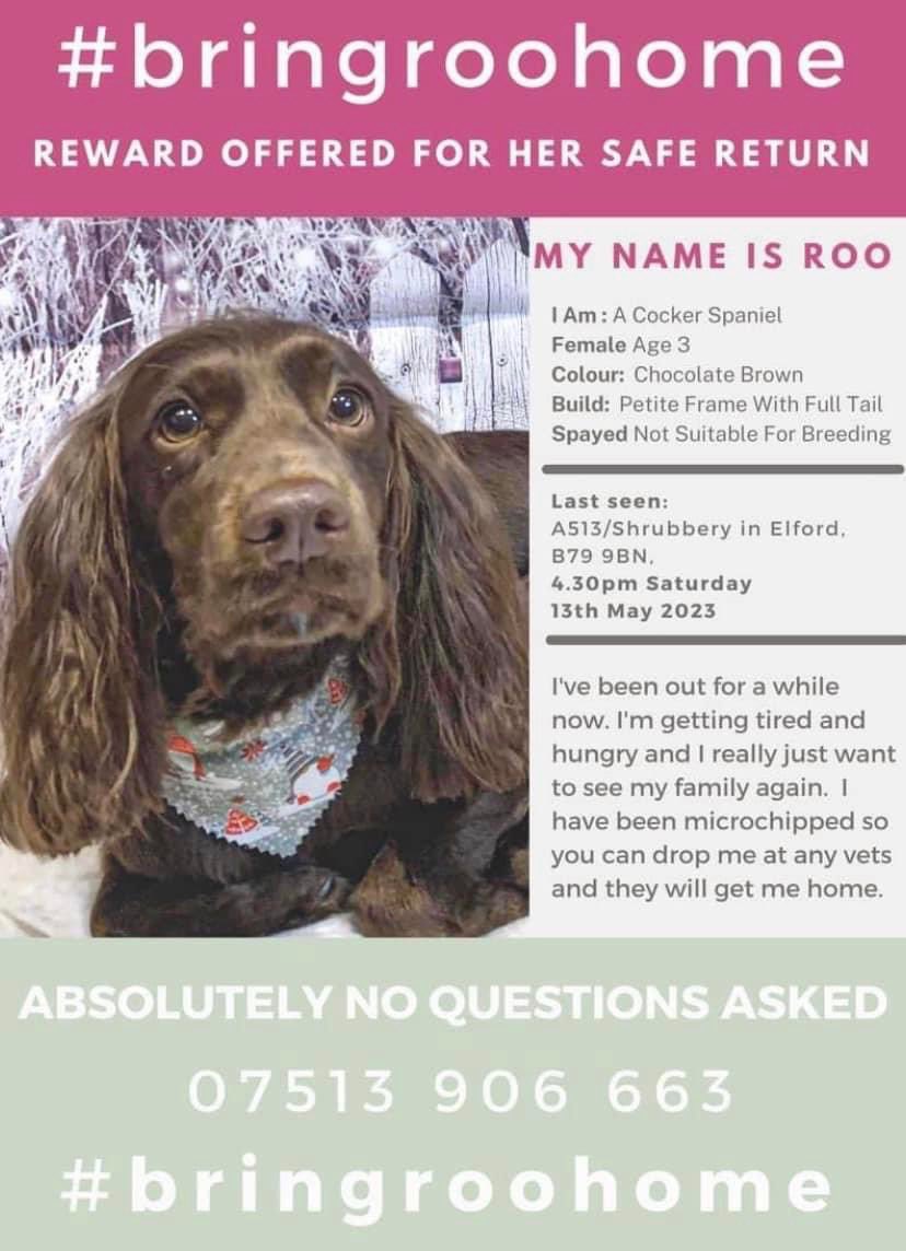 bringroohome tweet picture