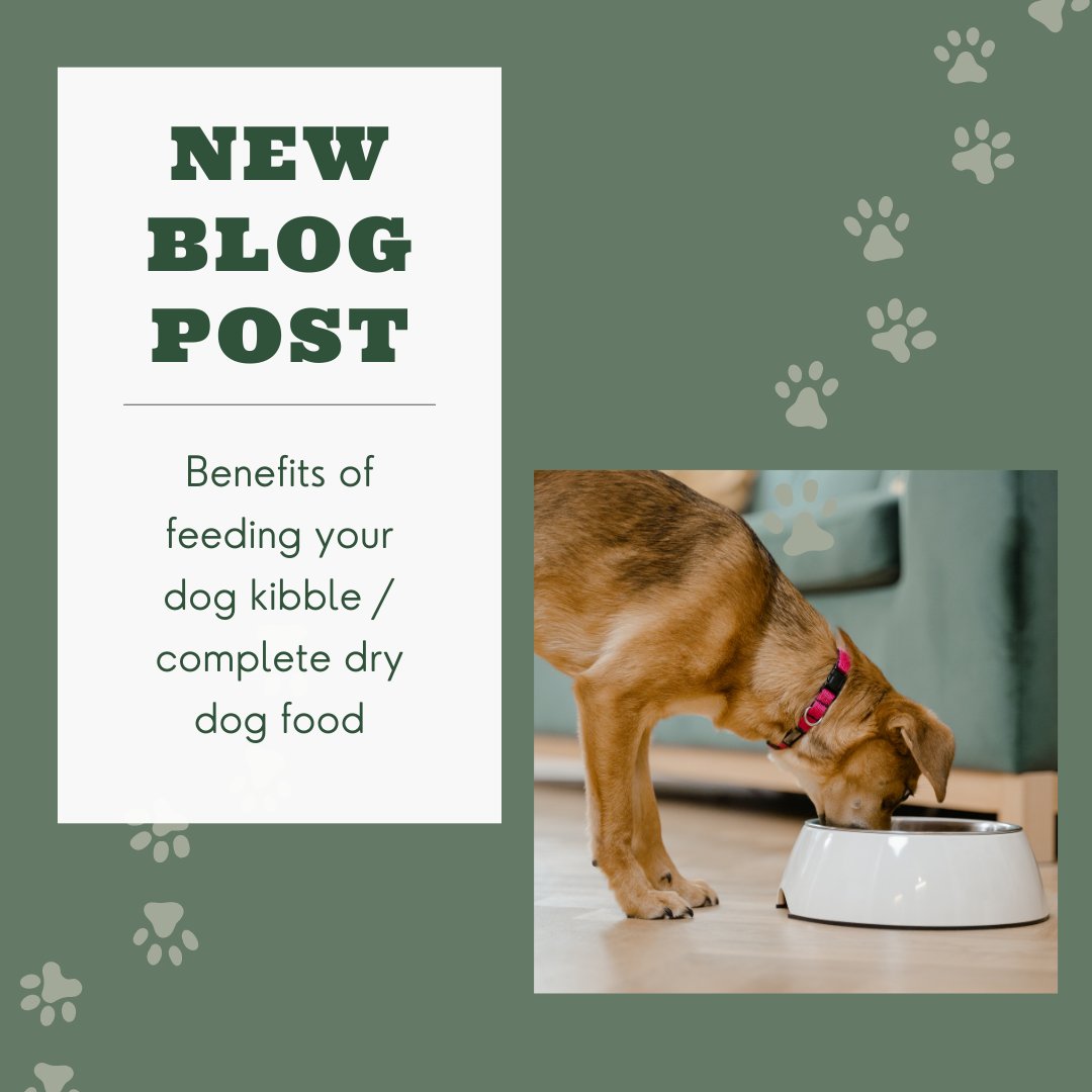 BradshawsDogs's tweet photo. Read our latest blog post on some of the benefits of kibble. 

https://t.co/e2k0cuEZ2i https://t.co/R2G0WXJguh