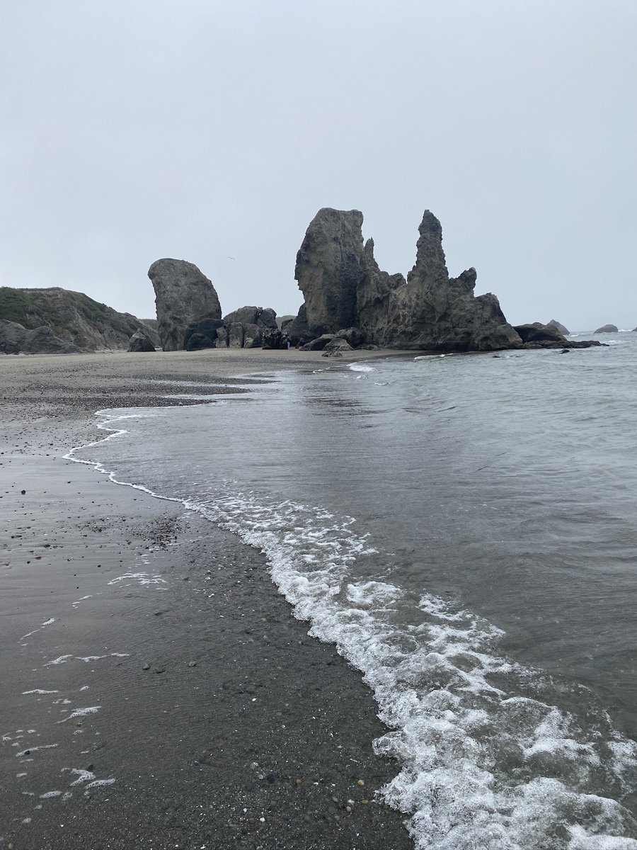 jdonith's tweet photo. Nothing compared to @theoregoncoast. Even on a cloudy day, she’s a beauty! 🌊❤️ This is the Oregon Islands National Wildlife Refuge. 🦭🐧🐦‍⬛ @OregonParksDept #oregoncoast #pnw #bandon #wildliferefuge @ORDeptForestry https://t.co/sxgzszyEFD