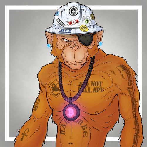 🌞 Nick Booth 🌞 tweet media