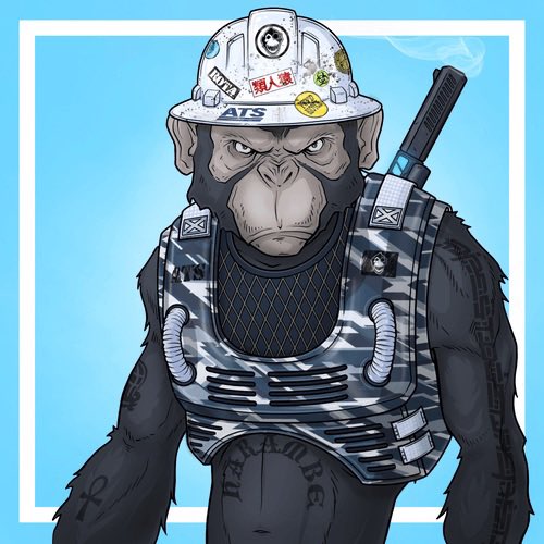 🌞 Nick Booth 🌞 tweet media