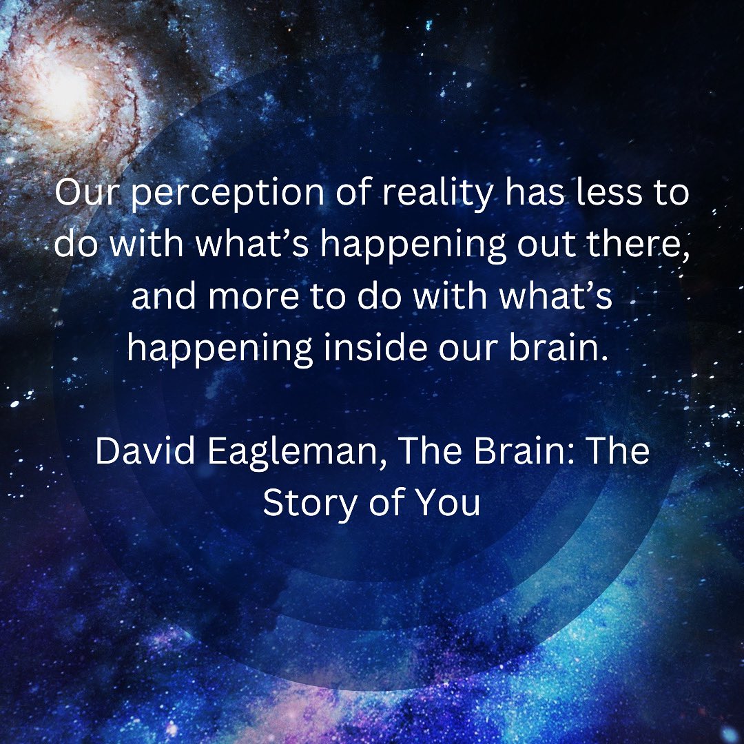 This by <a href="/davideagleman/">David Eagleman</a>