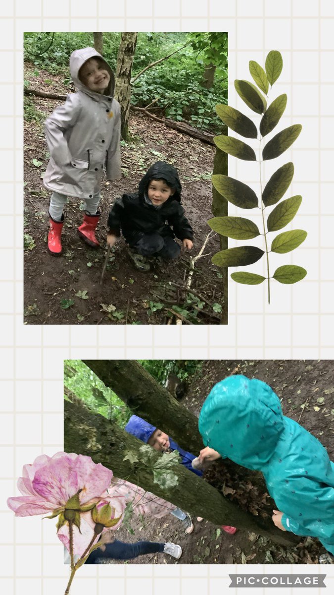 Reception HighStPrimary tweet media