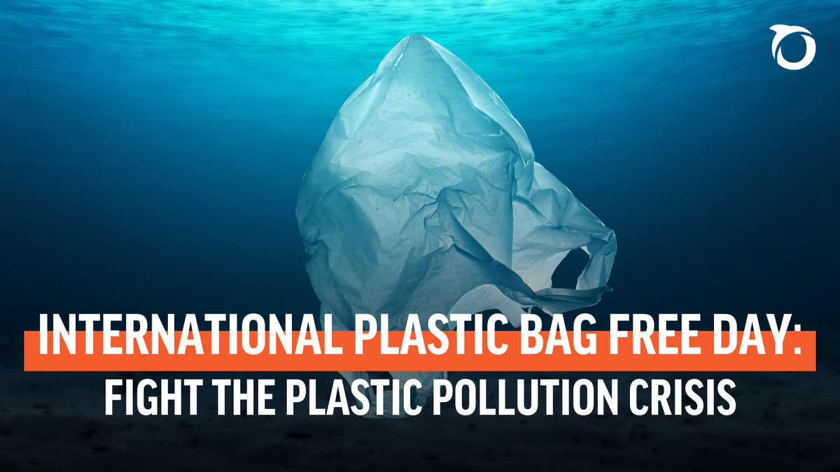 oceana's tweet image. DITCH THE PLASTIC BAG: #InternationalPlasticBagFreeDay is the perfect time to remember that even a small step can make a big difference! Join us in fighting the plastic crisis and pledge to help tackle plastic pollution: bit.ly/3CU77Tx #SmallStepsBigDifference