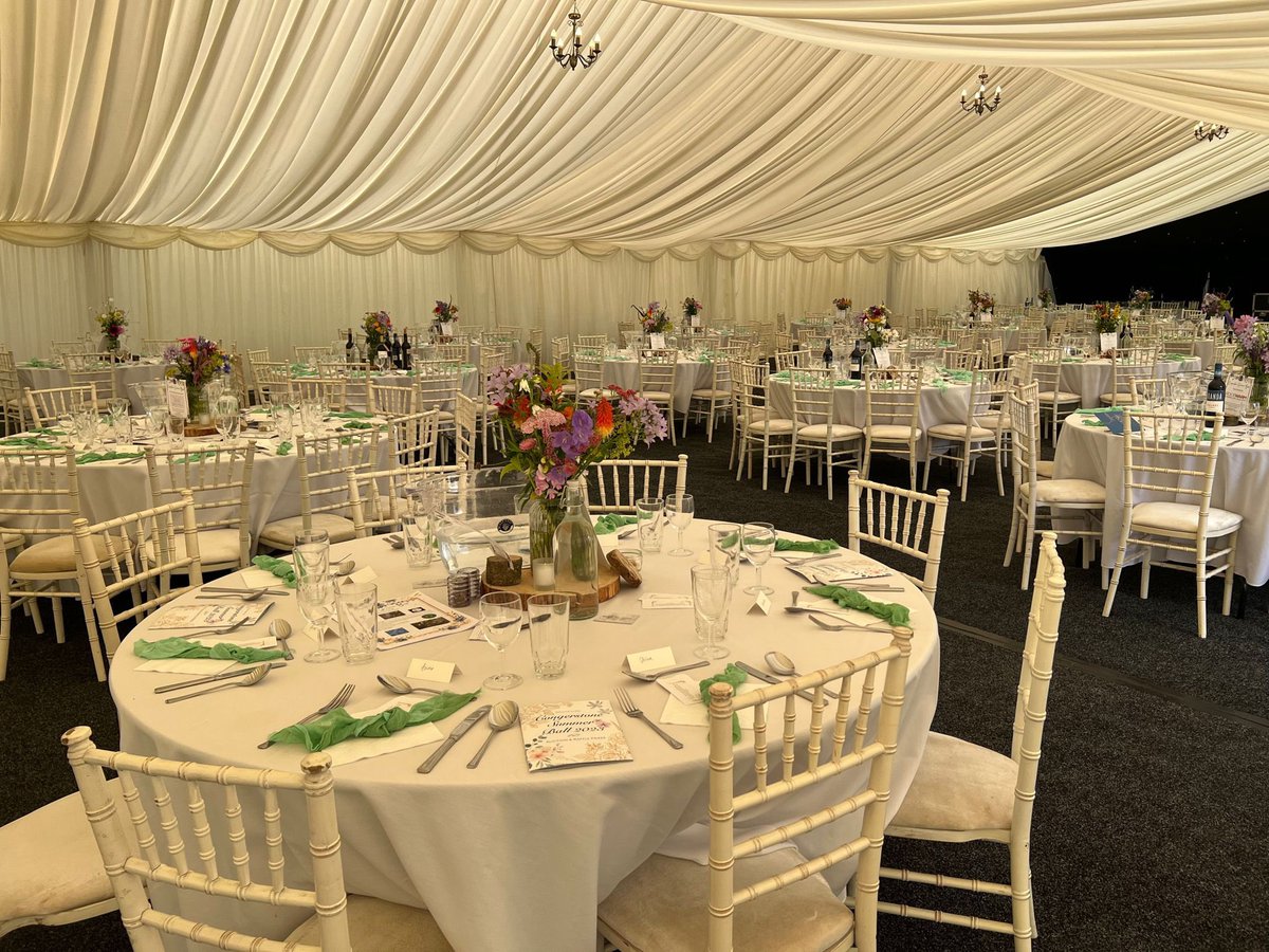 Congerstone Primary tweet media