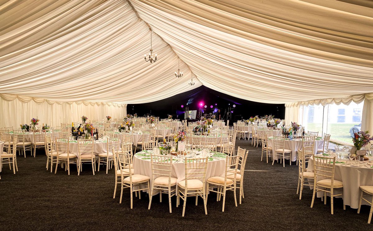 Congerstone Primary tweet media