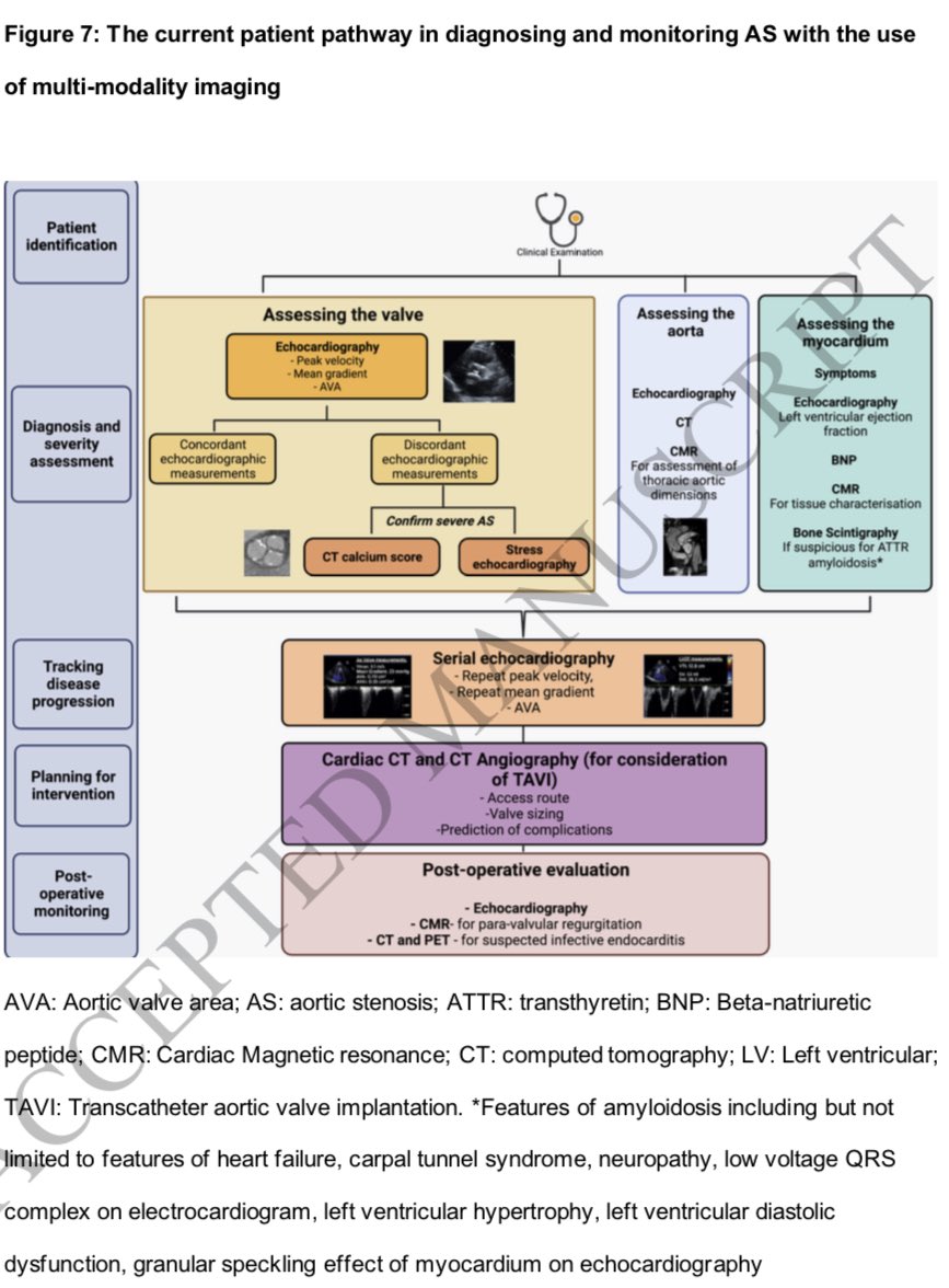 cardioimagenmx tweet picture