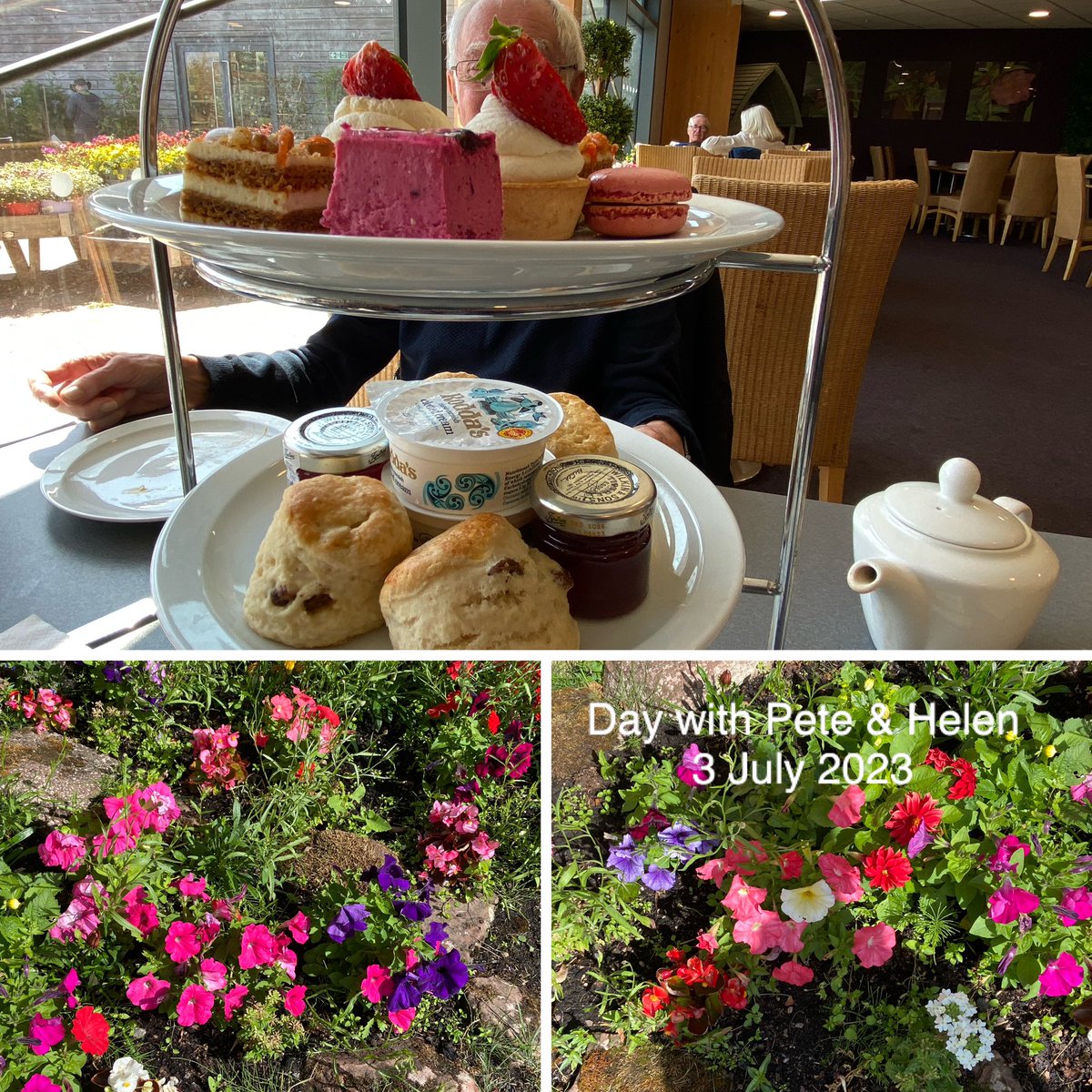 Gill Bracey tweet media