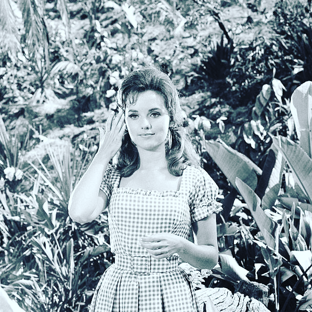 RT @NotablePhotos: Dawn Wells. 1964 https://t.co/hFnEiiR448
