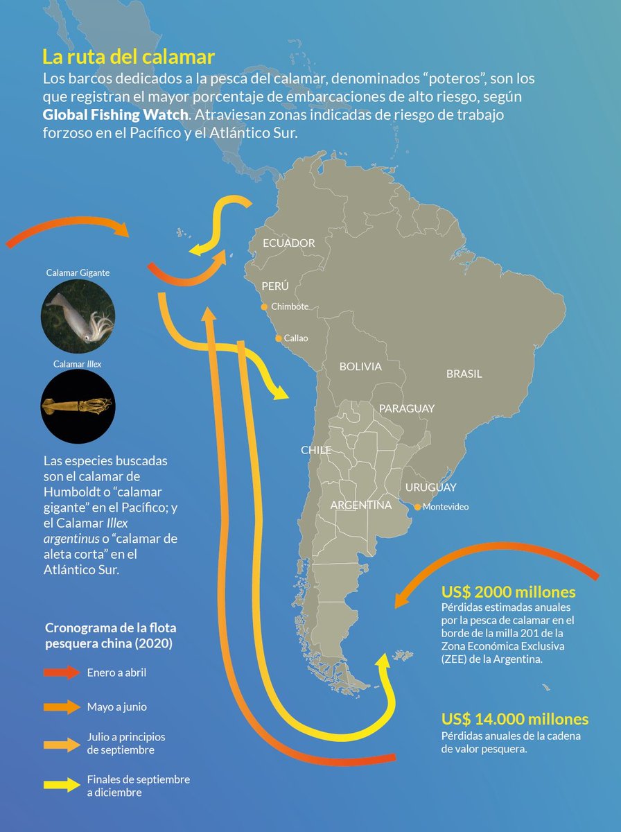 El #MarArgentino es depredado durante la temporada de pesca del #calamar por flotas pesqueras extranjeras. 'Existen numerosas denuncias de tripulantes desesperados que, en algunos casos, llegaron a arrojarse al mar, aun a riesgo de morir congelados', nos dijo @milkorockmar.