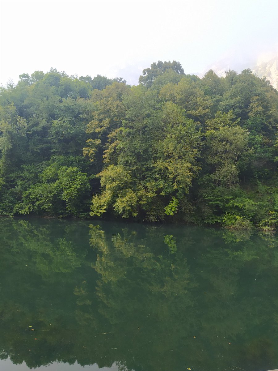 Lusilú 💜🌈 tweet media