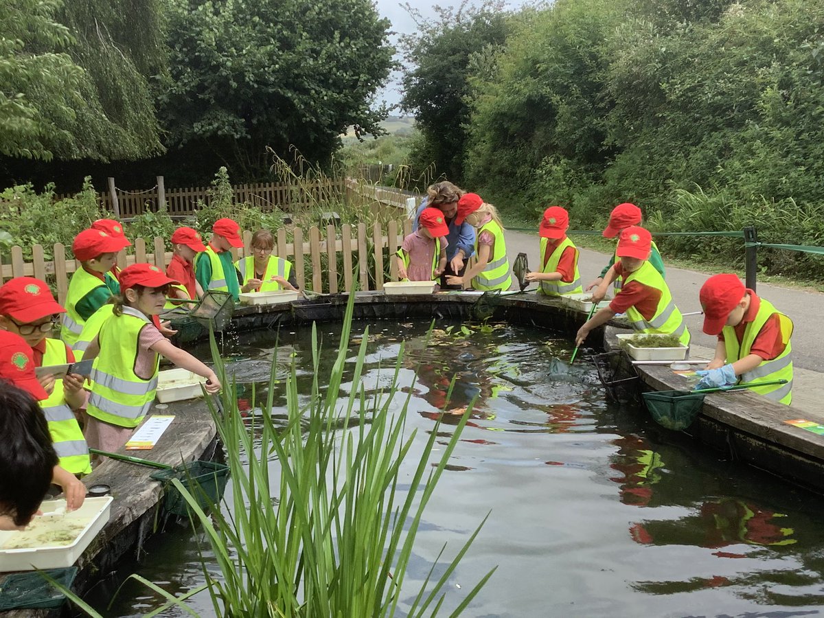 STJBFindon's tweet photo. ARUNDEL WETLANDS - Ash Class had such a lovely day out, exploring the Wetlands in Arundel. They went for a boat ride, did some pond dipping, hunted for mini-beasts, and saw lots of cute ducklings. https://t.co/HcN06EAgKh