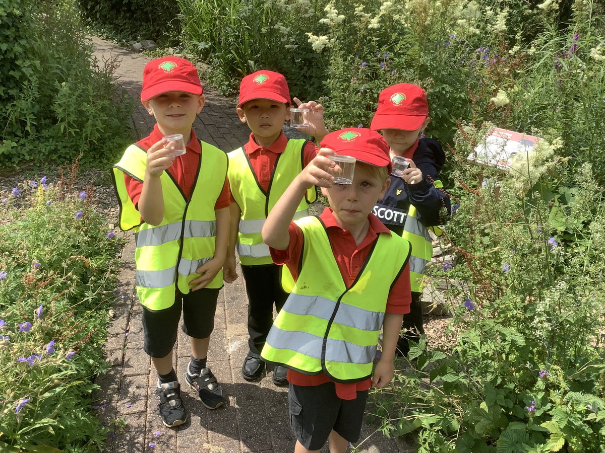 STJBFindon's tweet photo. ARUNDEL WETLANDS - Ash Class had such a lovely day out, exploring the Wetlands in Arundel. They went for a boat ride, did some pond dipping, hunted for mini-beasts, and saw lots of cute ducklings. https://t.co/HcN06EAgKh