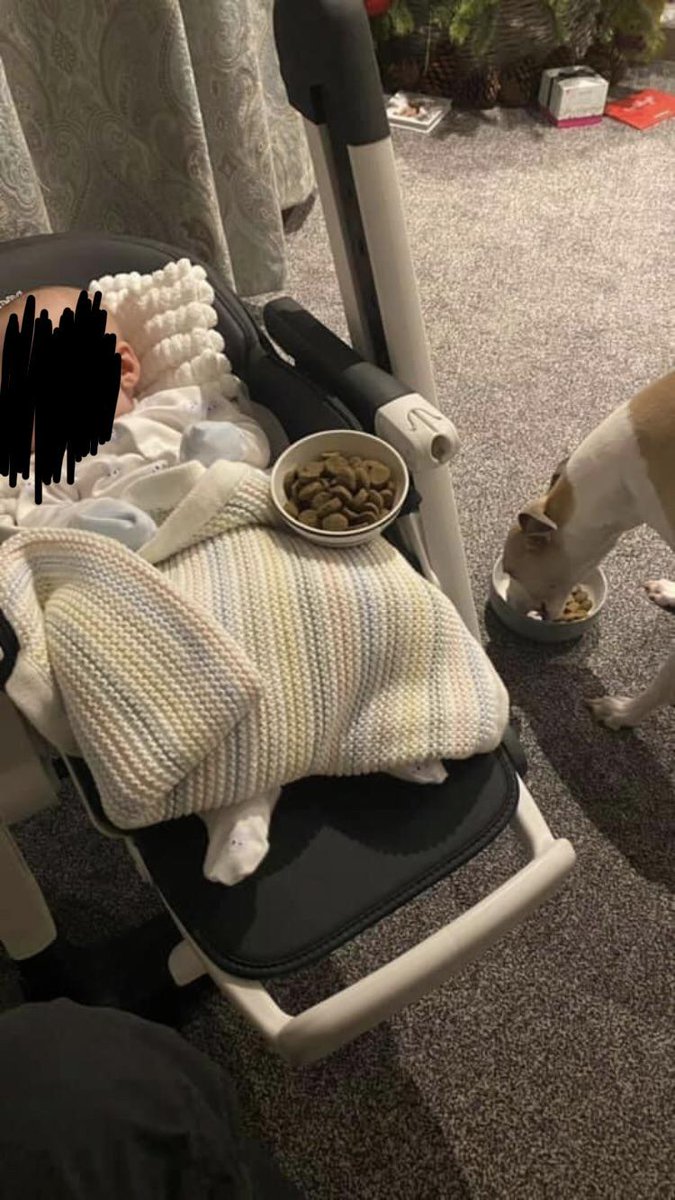 Their dog hasn’t eaten well since they brought their baby home - dog kept taking food into the living room and leaving it there. Someone suggested the dog might be worried the baby isn’t visibly eating, so is “feeding” the baby. They tried giving the baby a bowl of food at the