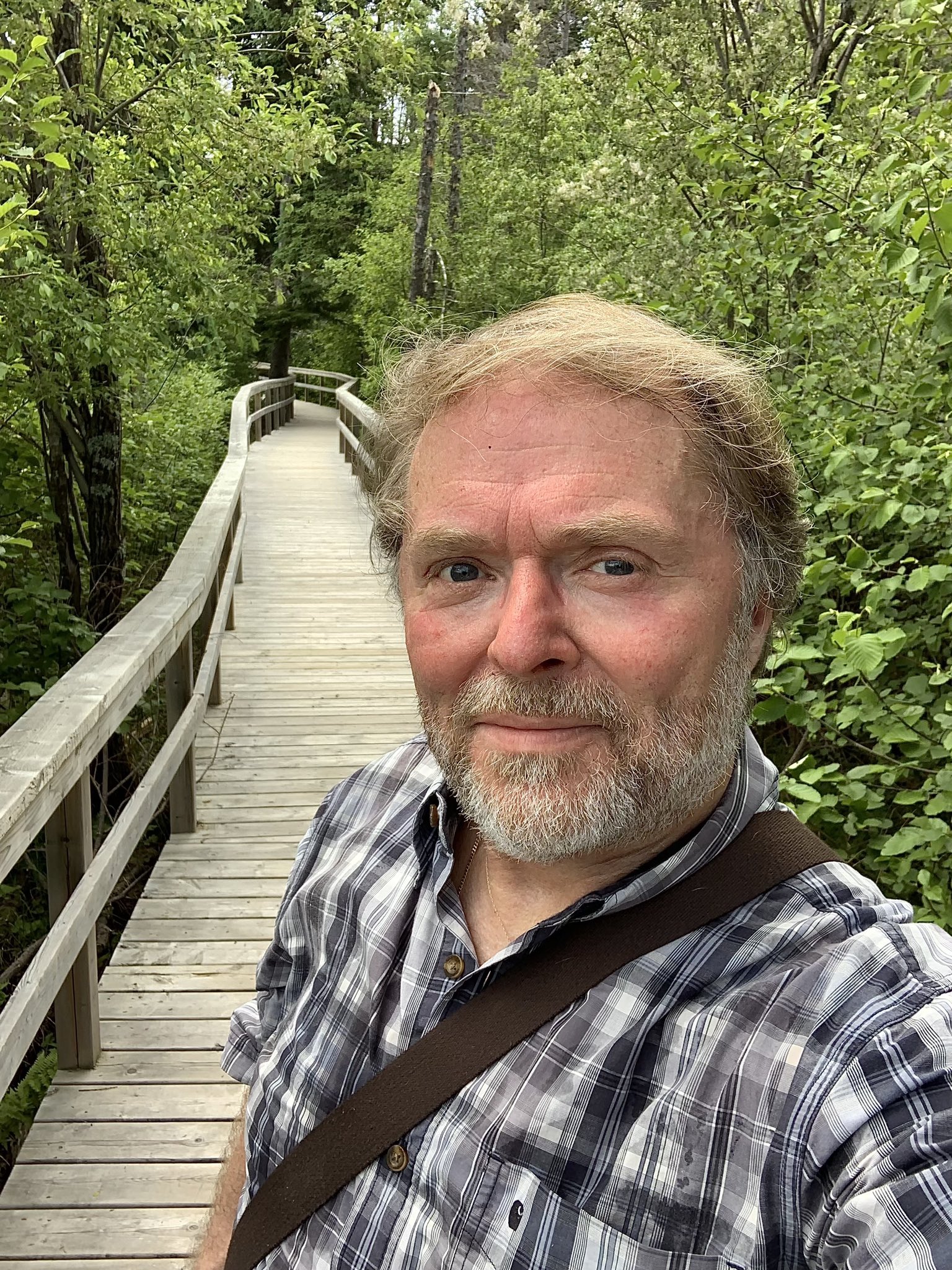 Jeff🐦 on Twitter "Birch Island boardwalk in Happy Valley Goose Bay. I