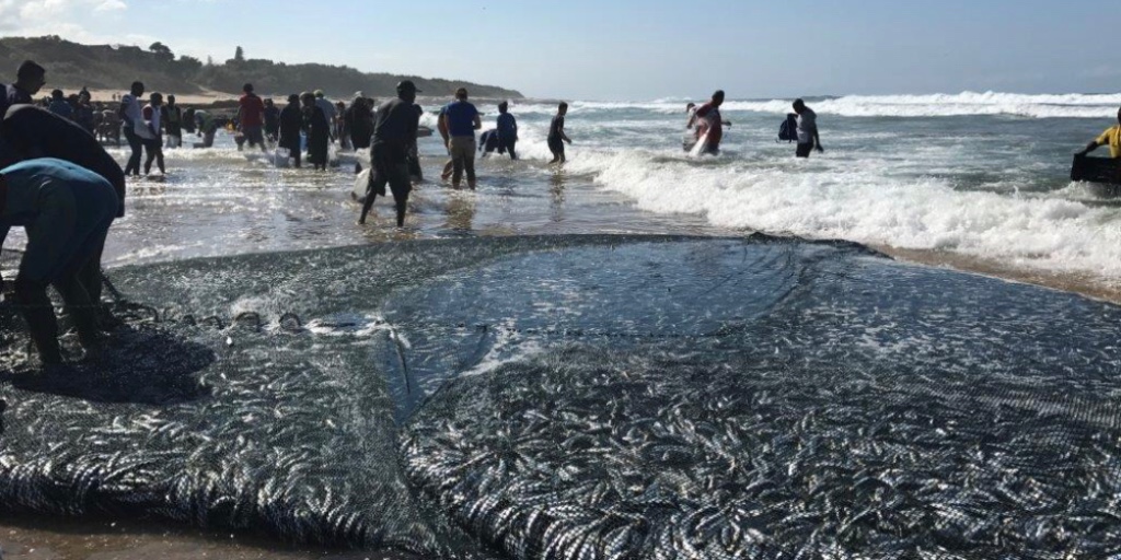 infosouthcoast's tweet photo. Escape the winter chill and head to the #kznsouthcoast for the ultimate #holiday fun! Experience the Sardine Winter #festival, #beach #adventures and the #sardinerun. Don't miss out on the #paradise of the Zulu Kingdom! visit:https://t.co/uXKHalTfmL #extendyourstay #sctie https://t.co/0gmdaMZXaF