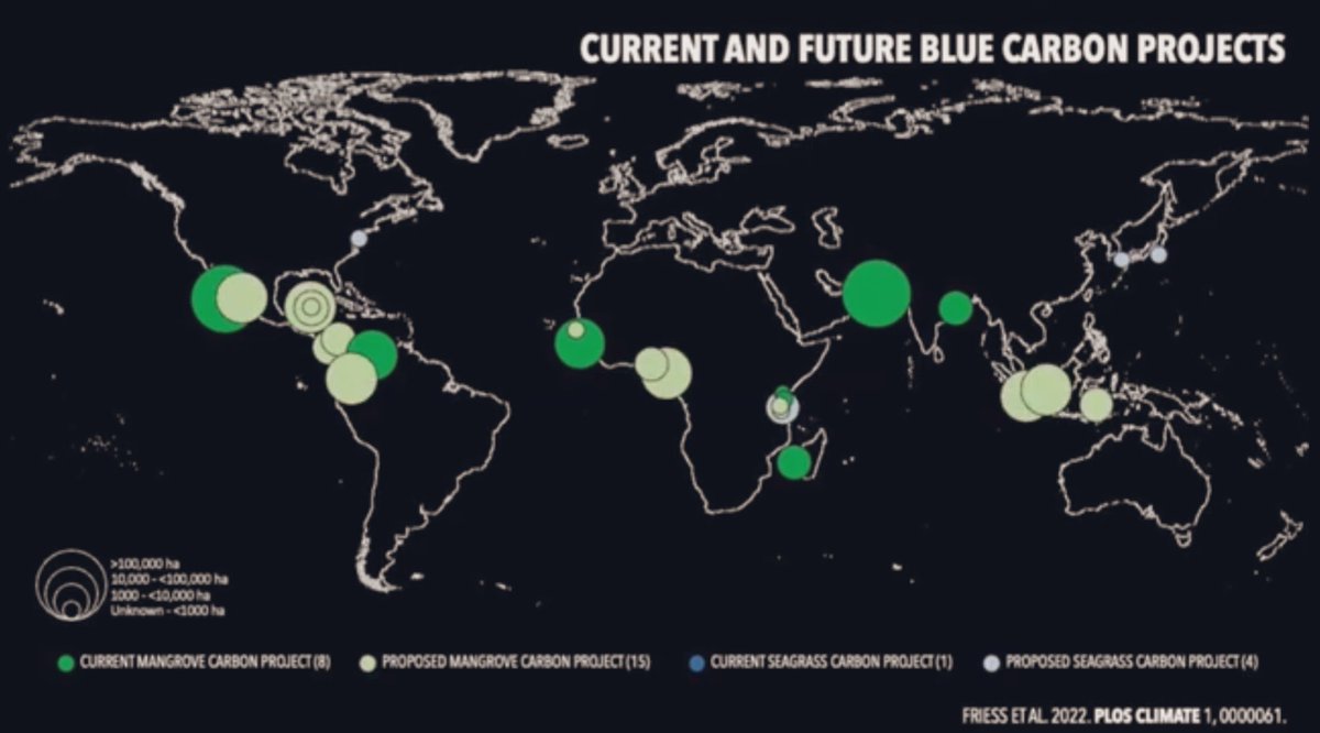 Dan Friess (@danfriess) on Twitter photo I have a new <a href="/TEDx/">TEDx</a> talk! Watch ‘Blue Carbon and the Climate Crisis’ here ted.com/talks/dan_frei… <a href="/BlueCarbon_BCI/">BlueCarbonInitiative</a> <a href="/The_IPBC/">The International Partnership for Blue Carbon</a> <a href="/Mangroves/">Global Mangrove Alliance</a> <a href="/IUCN_Mangrove/">IUCN Mangrove SG</a> <a href="/MangroveProject/">Mangrove Action Project</a> I have a new <a href="/TEDx/">TEDx</a> talk! Watch ‘Blue Carbon and the Climate Crisis’ here ted.com/talks/dan_frei… <a href="/BlueCarbon_BCI/">BlueCarbonInitiative</a> <a href="/The_IPBC/">The International Partnership for Blue Carbon</a> <a href="/Mangroves/">Global Mangrove Alliance</a> <a href="/IUCN_Mangrove/">IUCN Mangrove SG</a> <a href="/MangroveProject/">Mangrove Action Project</a>