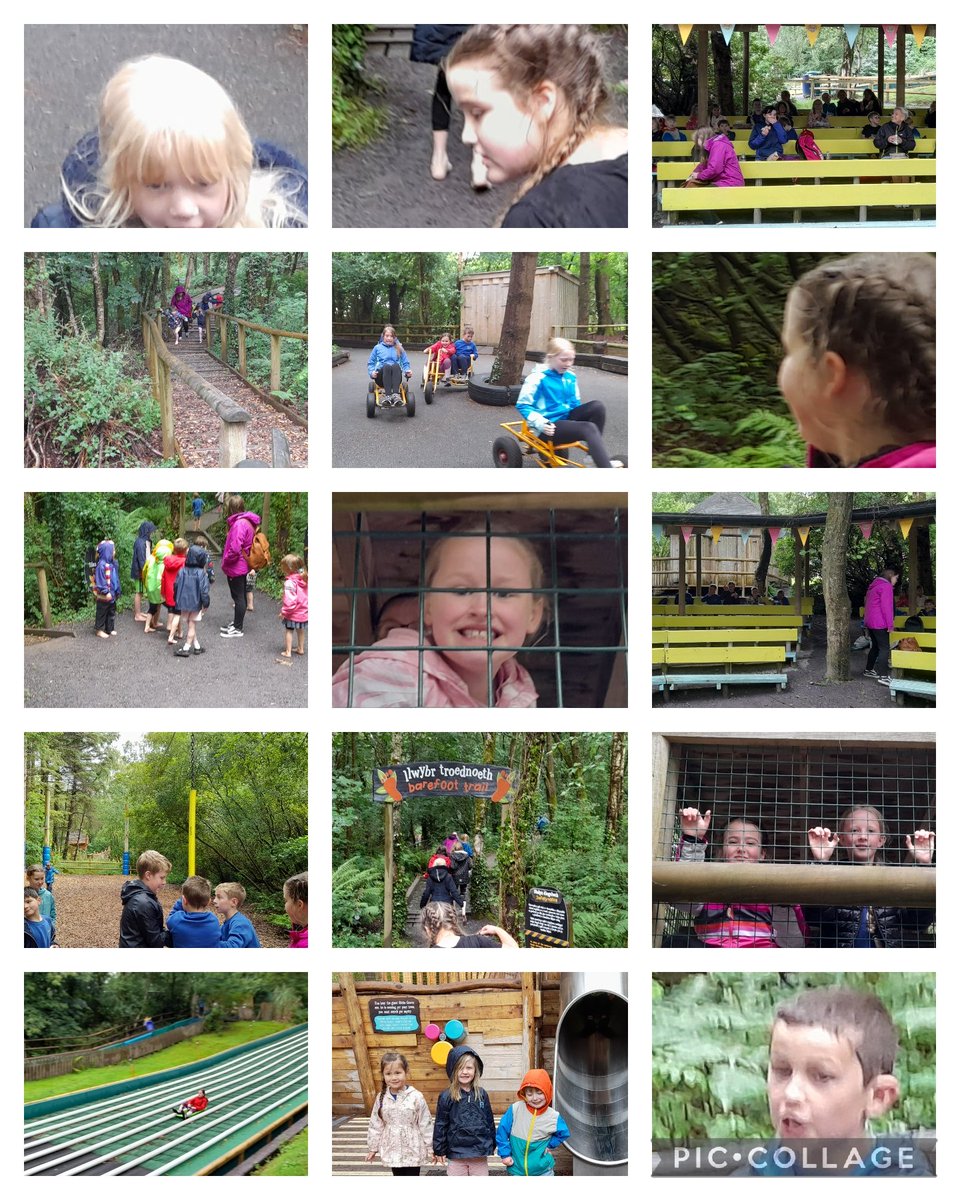 ysgolyfoel's tweet photo. A soggy start, but the weather got better and the smiles got bigger. Another super trip to Greenwood Forest Park. #FOEL https://t.co/3Or6lWX6yV