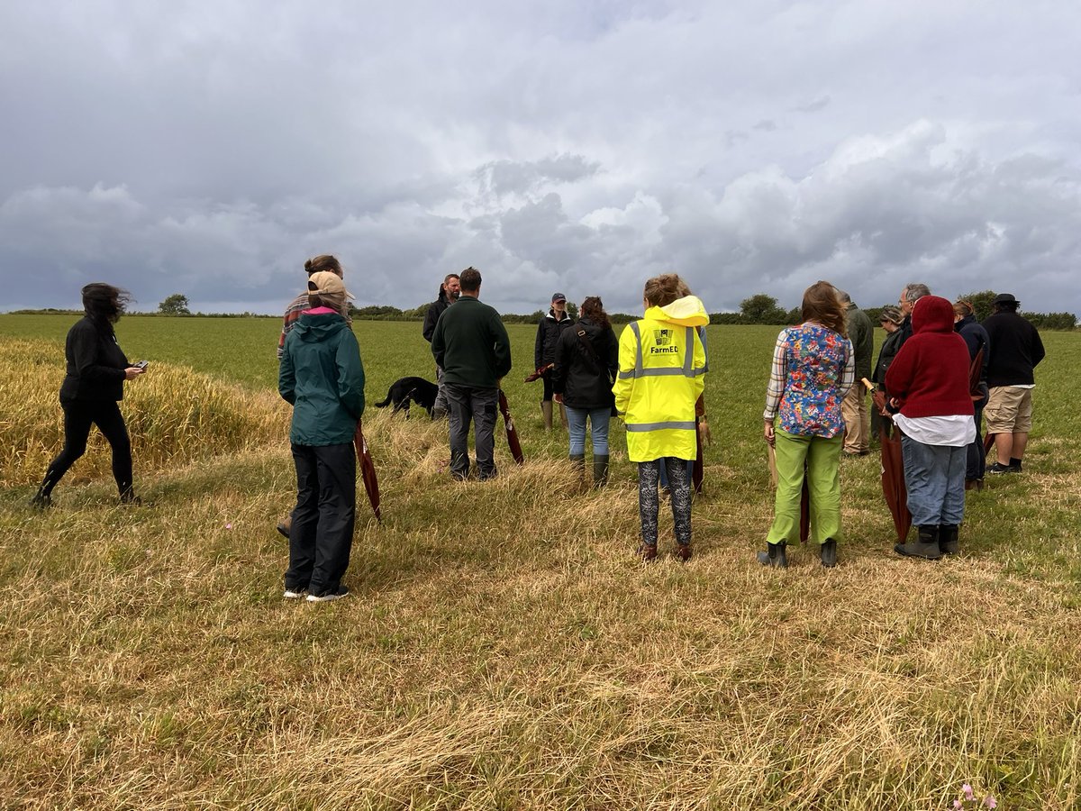 Dr Richard Binks 🇺🇦🐝 tweet media