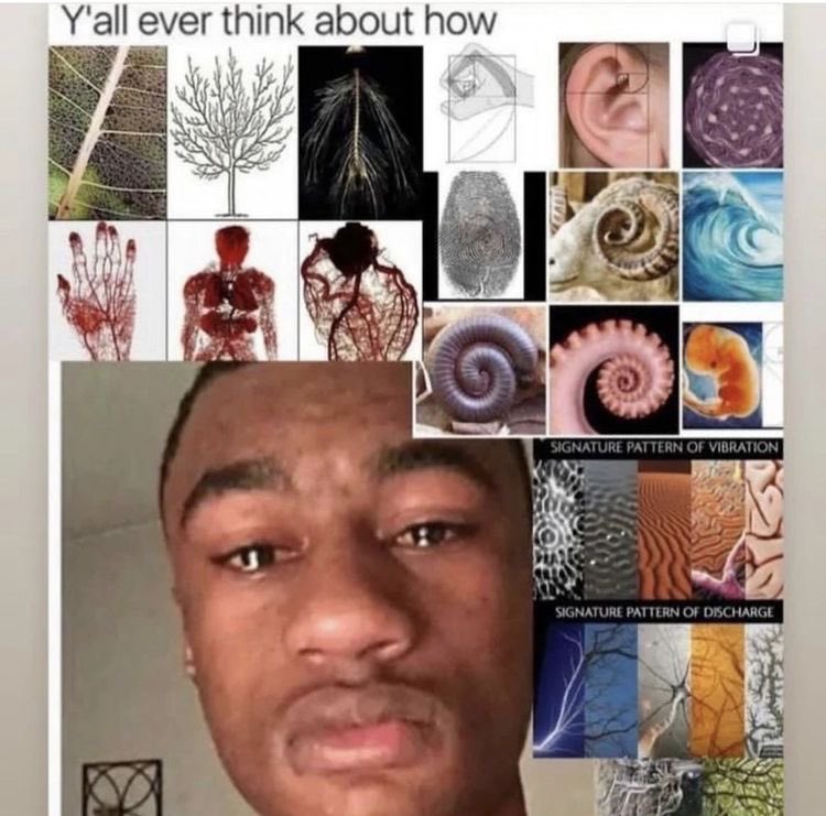 ana sofia (@sofashkbd) on Twitter photo 