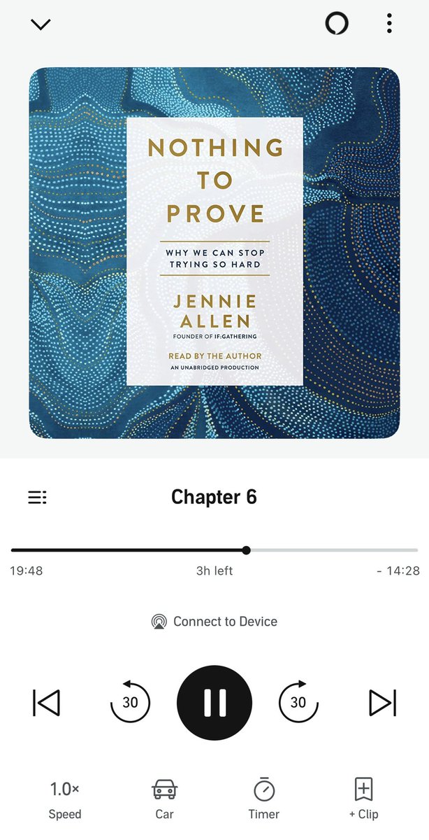 This summer has been a slow one for reading, but after a quick Mary Oliver poetry book and some time spent in an Andrew Murray classic, I’ve really been enjoying NOTHING TO PROVE by Jennie Allen. God is so faithful. 💙
