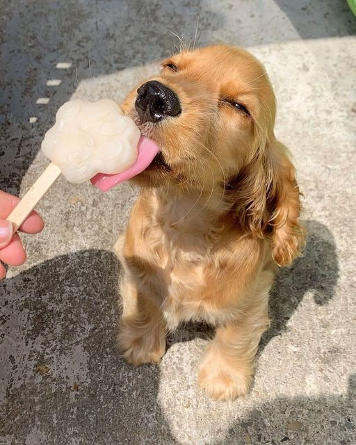 The weather is too hot, need to cool down