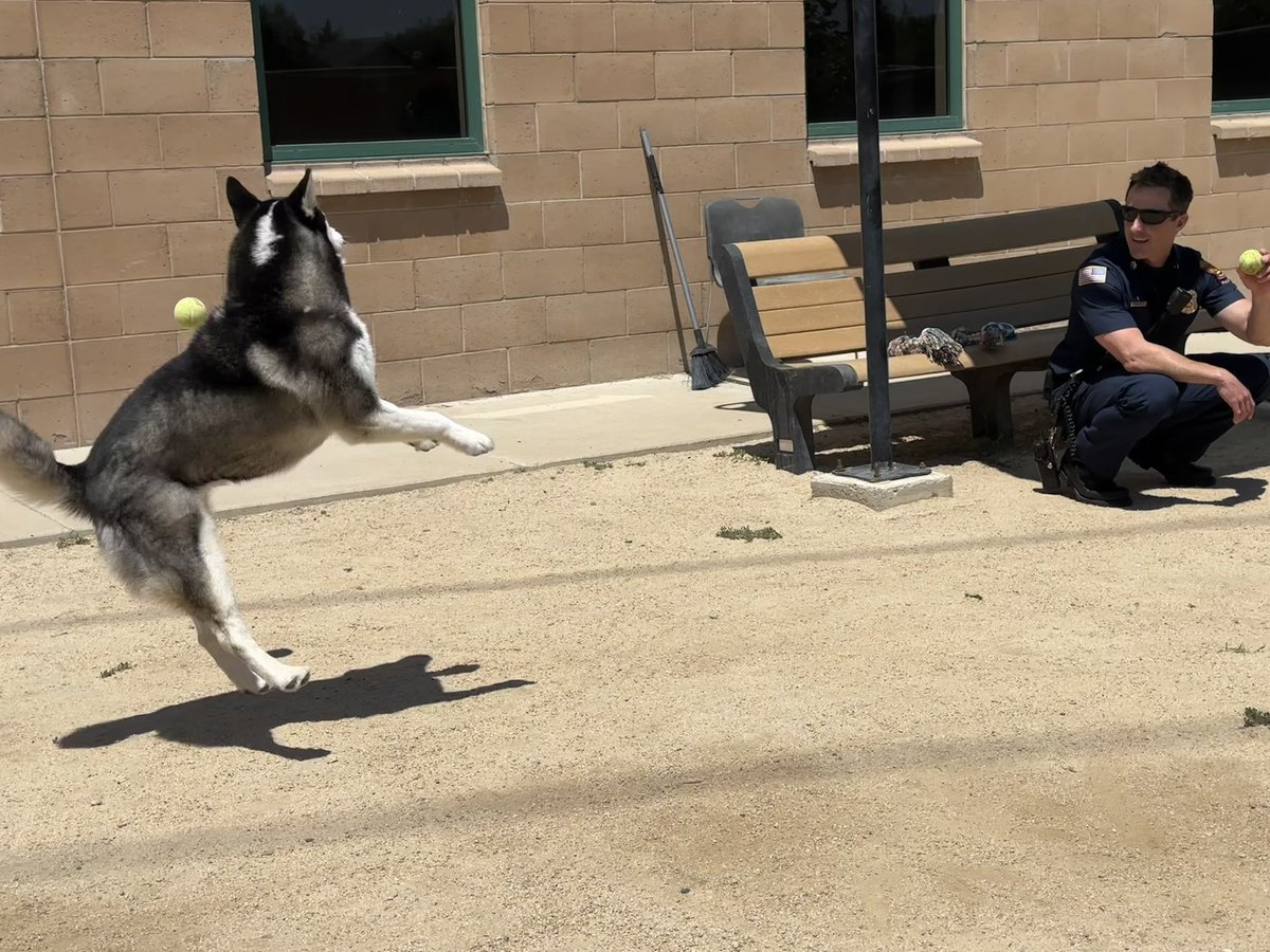 Reno Fire Department tweet media